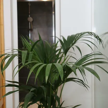 Valeria * プエルト・デル・カルメン